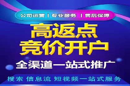 网络营销实战：成功竞价推广案例分析